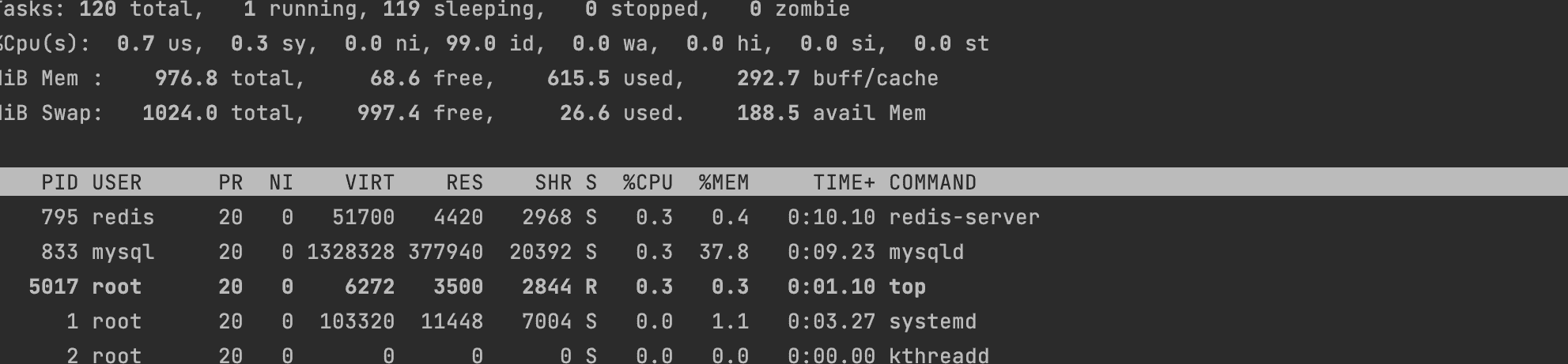 Top command showing high mysql usage